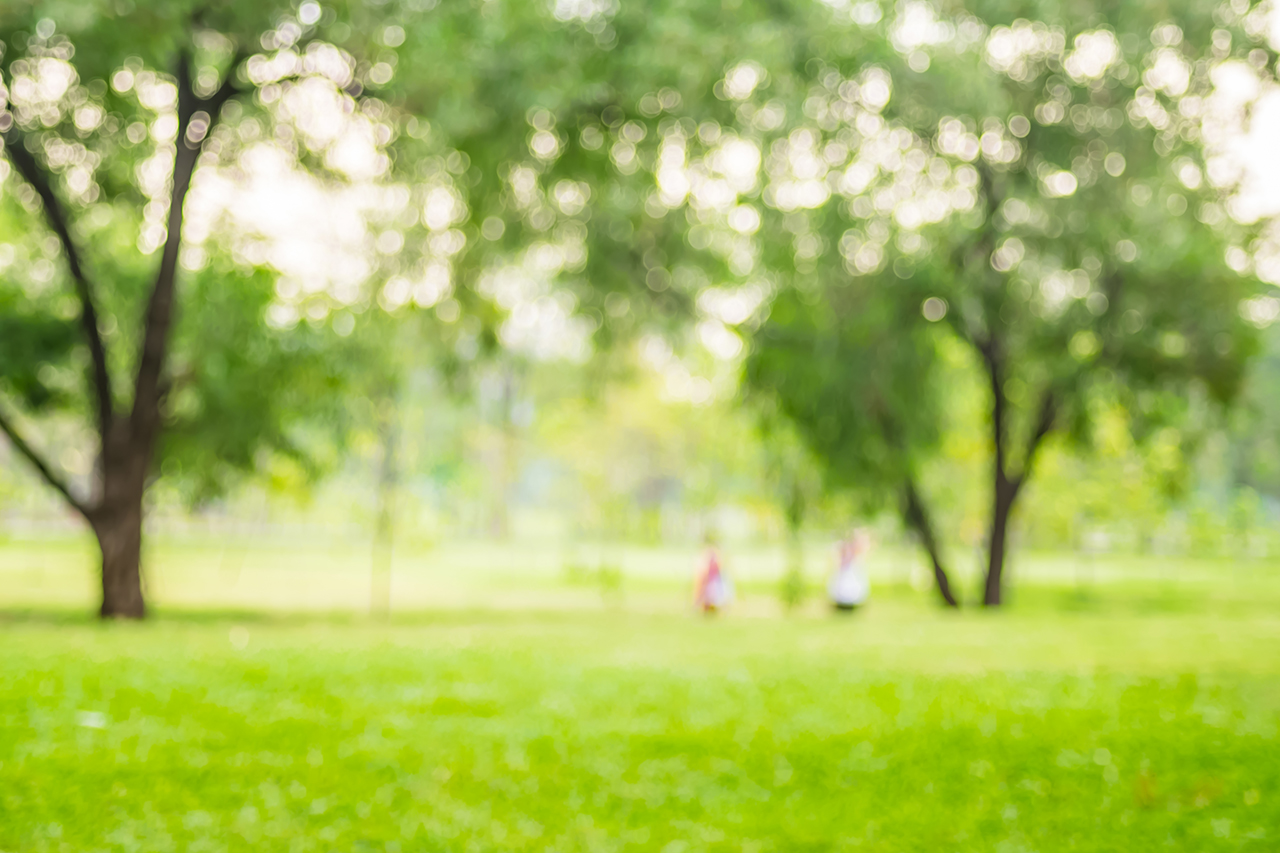 People-exercise-at-green-park